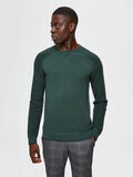 Selected ORGANIC COTTON - JUMPER, Sycamore, highres - 16075244_Sycamore_787057_003.jpg