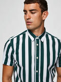Selected STRIPED - SHIRT, Forest Biome, highres - 16069517_ForestBiome_705293_006.jpg