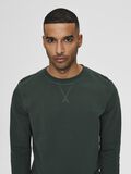 Selected REGULAR FIT ORGANIC COTTON 340G - SWEATSHIRT, Sycamore, highres - 16077366_Sycamore_008.jpg