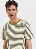 Selected RANDIG T-SHIRT, Cloud Cream, highres - 16085660_CloudCream_949214_006.jpg