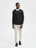 Selected PIMA COTTON V-NECK JUMPER, Black, highres - 16074683_Black_005.jpg