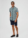 Selected STRIPED - SHIRT, Forest Biome, highres - 16069517_ForestBiome_705293_005.jpg