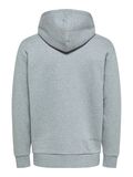 Selected ESTILO INFORMAL SUDADERA CON CAPUCHA, Medium Grey Melange, highres - 16085286_MediumGreyMelange_002.jpg