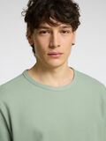 Selected KLASSIEKE T-SHIRT, Iceberg Green, highres - 16089518_IcebergGreen_006.jpg