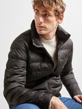 Selected PADDED QUILTED JACKET, Stretch Limo, highres - 16089395_StretchLimo_008.jpg