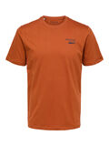 Selected TRYCK T-SHIRT, Bombay Brown, highres - 16085653_BombayBrown_001.jpg