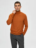 Selected PIMA COTTON TURTLENECK, Pumpkin Spice, highres - 16076642_PumpkinSpice_809835_003.jpg