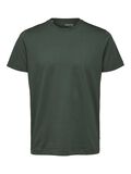 Selected BAUMWOLL T-SHIRT, Sycamore, highres - 16077365_Sycamore_001.jpg