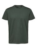 Selected COTON T-SHIRT, Sycamore, highres - 16077365_Sycamore_001.jpg