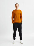 Selected SWETER, Buckthorn Brown, highres - 16076897_BuckthornBrown_005.jpg