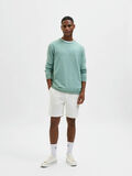 Selected LEINENGEMISCH SHORTS, Cloud Dancer, highres - 16083582_CloudDancer_005.jpg