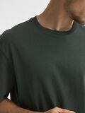Selected LOOSE FIT ORGANIC COTTON 200G - T-SHIRT, Sycamore, highres - 16077361_Sycamore_006.jpg