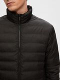 Selected PADDED QUILTED JACKET, Stretch Limo, highres - 16089395_StretchLimo_006.jpg