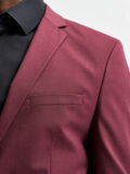 Selected BLAZER, Red Dahlia, highres - 16080570_RedDahlia_006.jpg