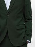 Selected BLAZER, Forest Night, highres - 16087824_ForestNight_006.jpg