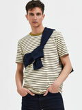 Selected STRIPED T-SHIRT, Cloud Cream, highres - 16085660_CloudCream_949214_008.jpg