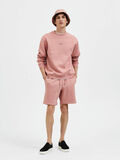 Selected PLAIN SHORTS, Ash Rose, highres - 16086334_AshRose_008.jpg