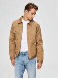 Selected ORGANIC COTTON - JACKET, Kelp, highres - 16072064_Kelp_003.jpg