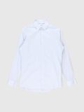 Selected LANGE MOUWEN GESTREEPT SLIM FIT FORMEEL OVERHEMD, Skyway, highres - 80000331_Skyway_996198_001.jpg