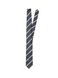 Selected TIE OR BOW TIE, Mango Mojito, highres - 16066613_MangoMojito_668682_001.jpg