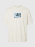 Selected IMPRIMÉ T-SHIRT RAS DU COU, Egret, highres - 16096792_Egret_1172053_001.jpg