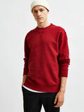 Selected REGULAR FIT ORGANIC COTTON SWEATSHIRT, Sun-Dried Tomato, highres - 16078631_SunDriedTomato_008.jpg