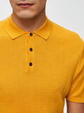 Selected MERINO ULD - POLO, Mango Mojito, highres - 16067080_MangoMojito_006.jpg