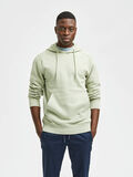 Selected CLASSIC HOODIE, Desert Sage, highres - 16077368_DesertSage_003.jpg