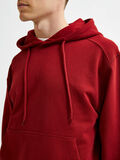 Selected COTON BIOLOGIQUE SWEAT-SHIRT, Sun-Dried Tomato, highres - 16078630_SunDriedTomato_006.jpg