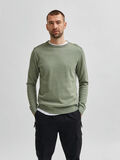 Selected BIO-BAUMWOLLE RUNDHALSAUSSCHNITT PULLOVER, Aluminum, highres - 16079115_Aluminum_844056_003.jpg