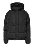 Selected HOODED - JACKET, Black, highres - 16068321_Black_001.jpg