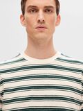 Selected STRIPED COTTON T-SHIRT, Green Gables, highres - 16091921_GreenGables_1068105_006.jpg