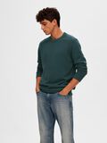 Selected CREW NECK KNITTED JUMPER, Green Gables, highres - 16079780_GreenGables_853722_003.jpg