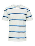 Selected STRIPED T-SHIRT, Allure, highres - 16084687_Allure_932006_001.jpg