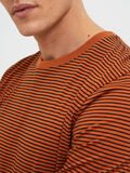 Selected STRIPED T-SHIRT, Bombay Brown, highres - 16080129_BombayBrown_861559_006.jpg