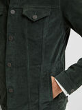 Selected CORD JACKE, Deep Forest, highres - 16079562_DeepForest_006.jpg