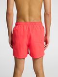 Selected COSTUME DA BAGNO, Hibiscus, highres - 16089428_Hibiscus_008.jpg