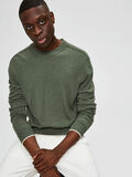 Selected CREW NECK - JUMPER, Beetle, highres - 16073453_Beetle_754755_008.jpg