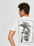 Selected EKOLOGISK BOMULL - T-SHIRT, Egret, highres - 16073662_Egret_008.jpg