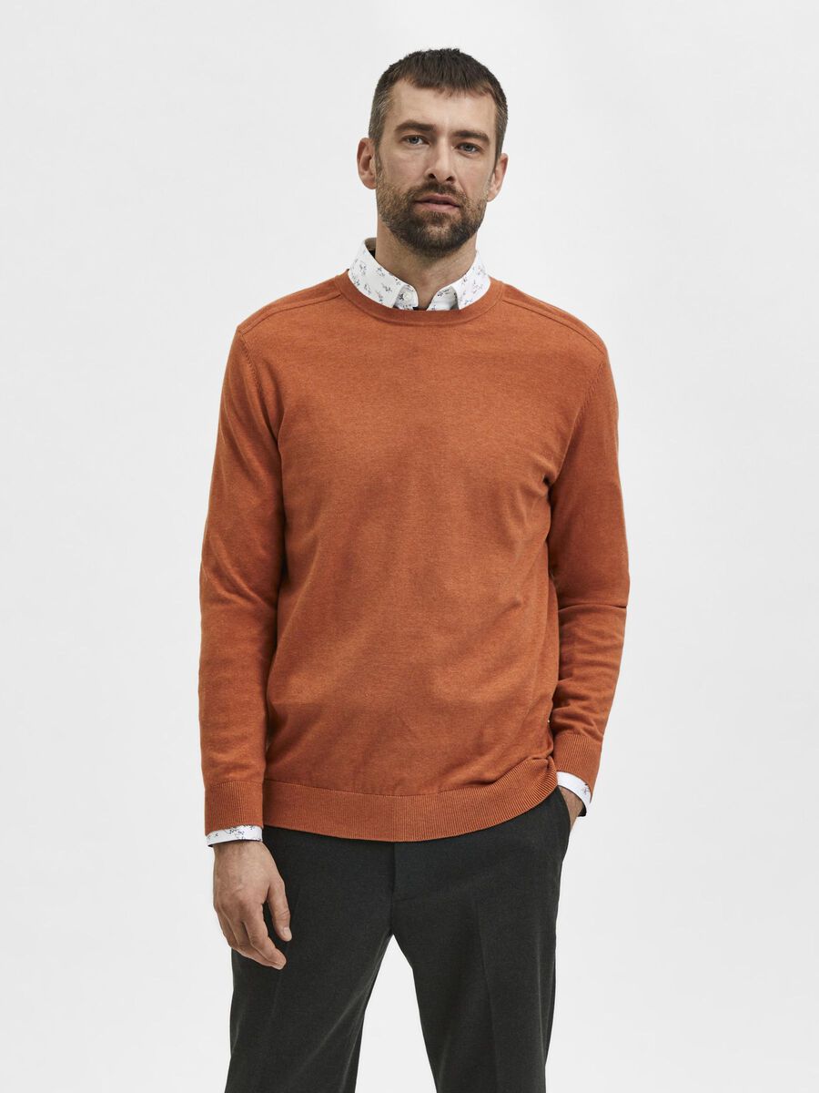 Selected PIMA COTTON - JUMPER, Bombay Brown, highres - 16074682_BombayBrown_778122_003.jpg