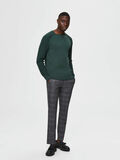 Selected ORGANIC COTTON - JUMPER, Sycamore, highres - 16075244_Sycamore_787057_005.jpg