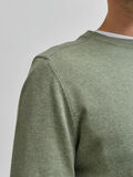 Selected BIO-BAUMWOLLE RUNDHALSAUSSCHNITT PULLOVER, Aluminum, highres - 16079115_Aluminum_844056_006.jpg