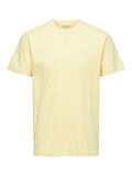 Selected COTTON T-SHIRT, Sunlight, highres - 16077365_Sunlight_001.jpg