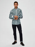 Selected STRIPED SLIM FIT - SHIRT, Forest Biome, highres - 16069516_ForestBiome_705294_005.jpg