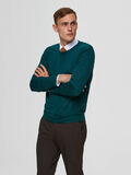 Selected MERINO WOOL - JUMPER, Botanical Garden, highres - 16070136_BotanicalGarden_712469_003.jpg