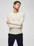 Selected BIO-BAUMWOLL LONGSLEEVE, Oyster Gray, highres - 16066412_OysterGray_686383_003.jpg