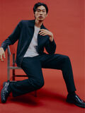 Shop the Look - slhpsy_SUITSELECTIOvol3_11_1741099911817_custom-0.jpg